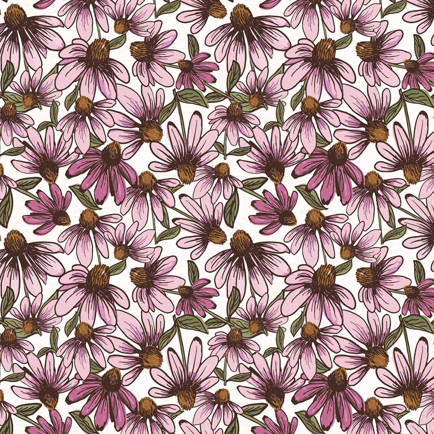 Coneflower Corral - White Echinacea