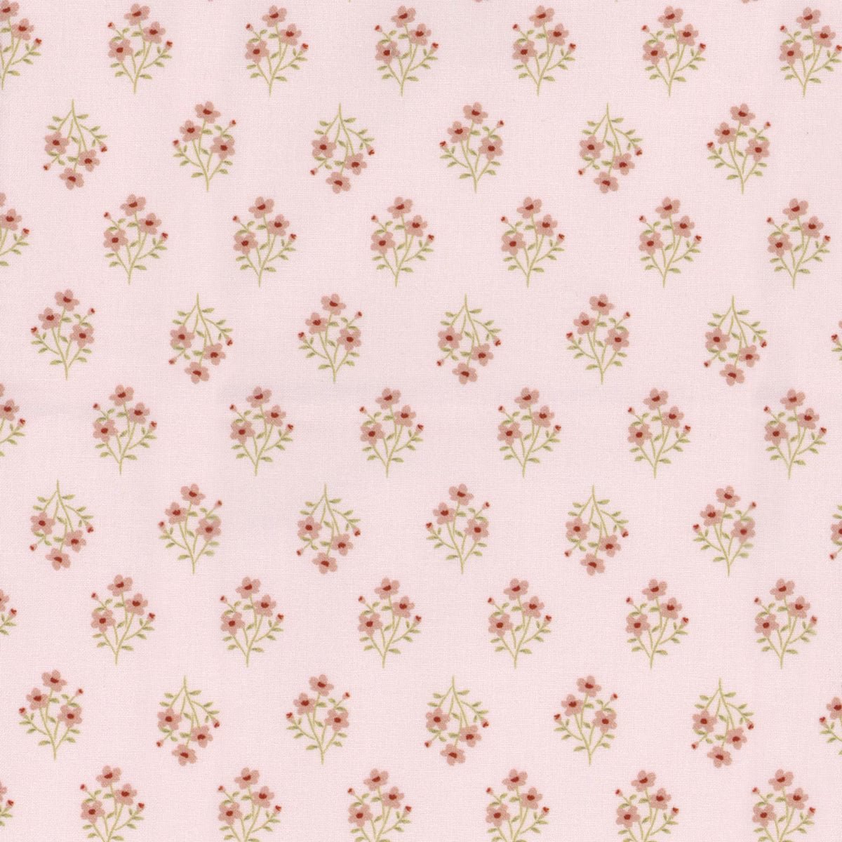 My Darling Deer - Blush Meadow