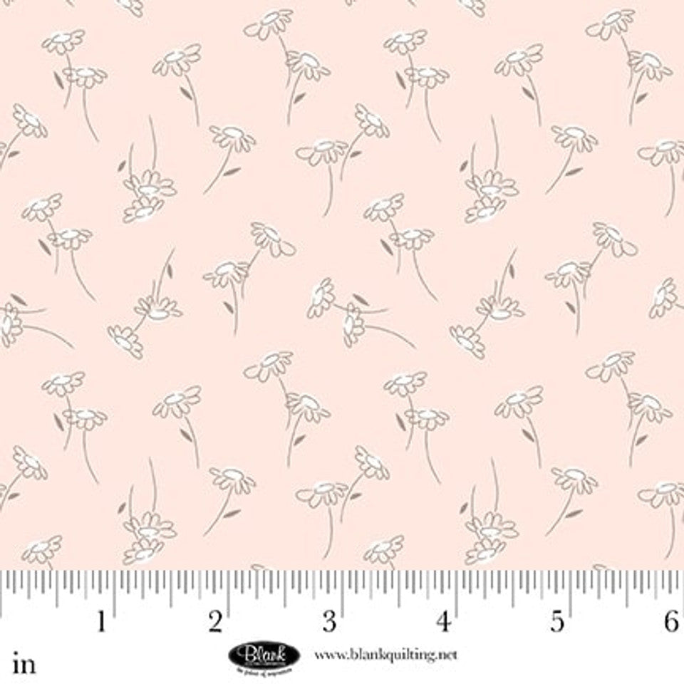 Sugar Dreams - Blush Daisies