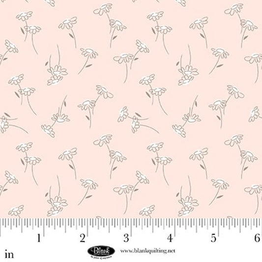 Sugar Dreams - Blush Daisies