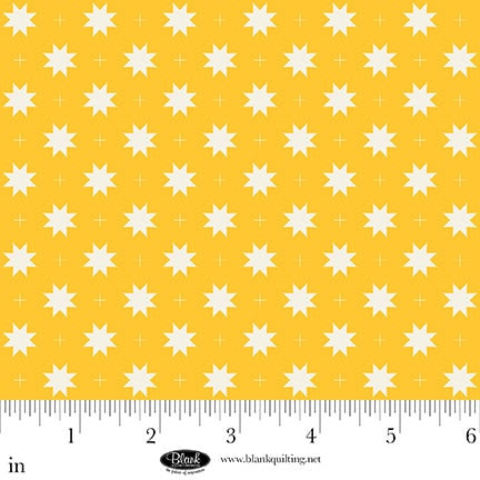 The Bright Side - Yellow - Eighth Point Star and Check
