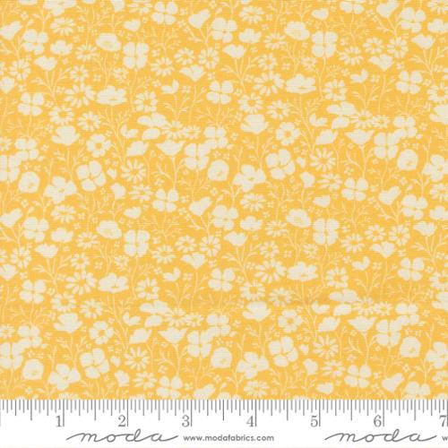 Cannon Beach - Poppy Field Florals - Sunshine