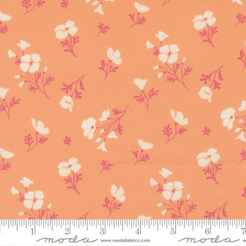 Cannon Beach - Astoria Florals - Peach