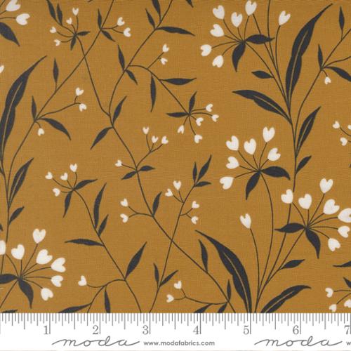 Arabesque - Highland Golden