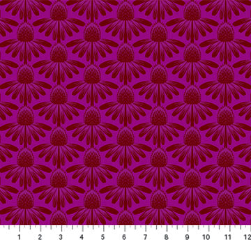 Indelible Magenta - Coneflower