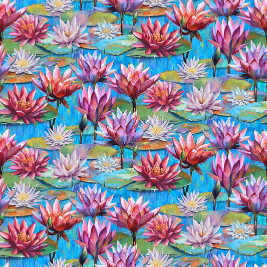 Lotus - multi