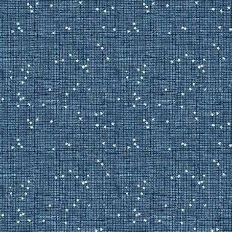 FIGO Stash - Blue Check