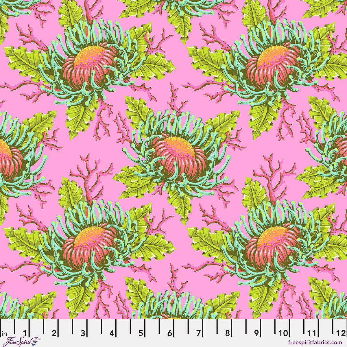 Floral Reef - Friends & Anemones - Coralline