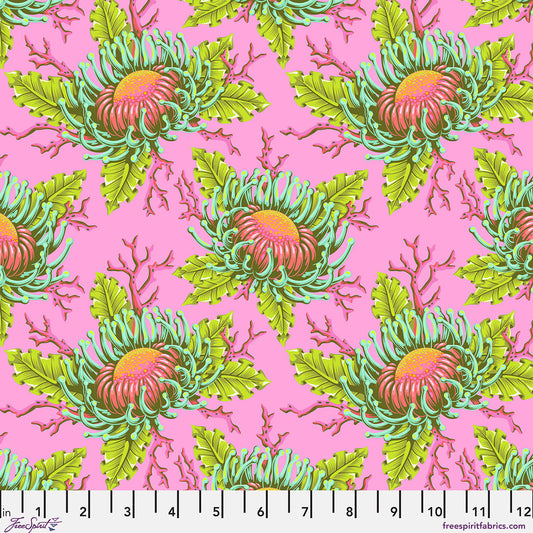 Floral Reef - Friends & Anemones - Coralline
