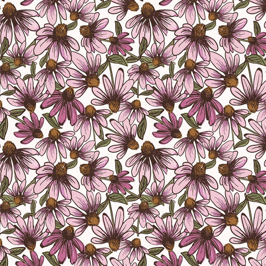 Coneflower Corral - White Echinacea