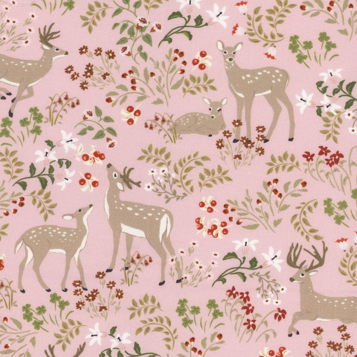 My Darling Deer - Darling Blush