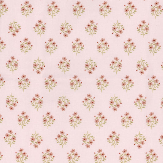 My Darling Deer - Blush Meadow