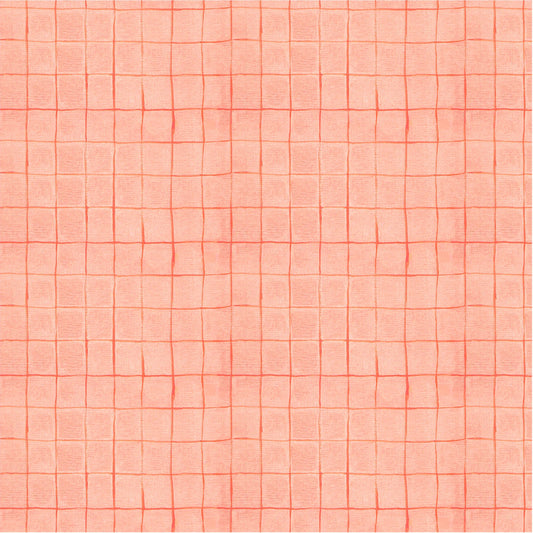 Salmon Drawn Plaid